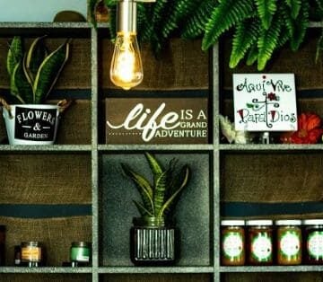 10 vegan pantry staples
