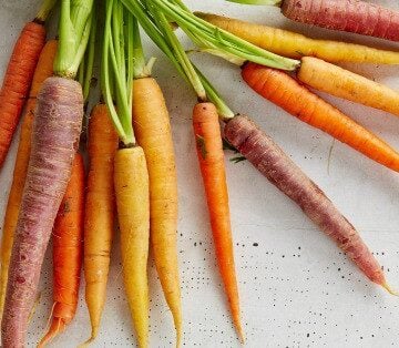 First steps in going vegan - what to expect