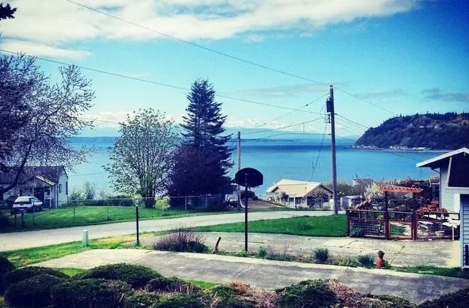 The view