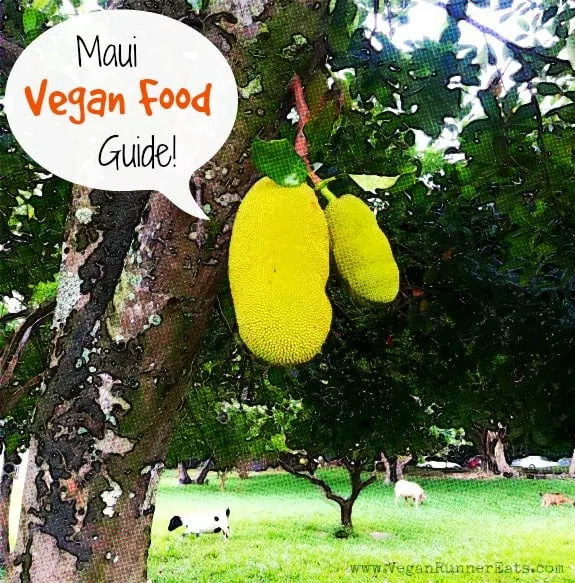 Where to find vegan food on Maui, Hawaii