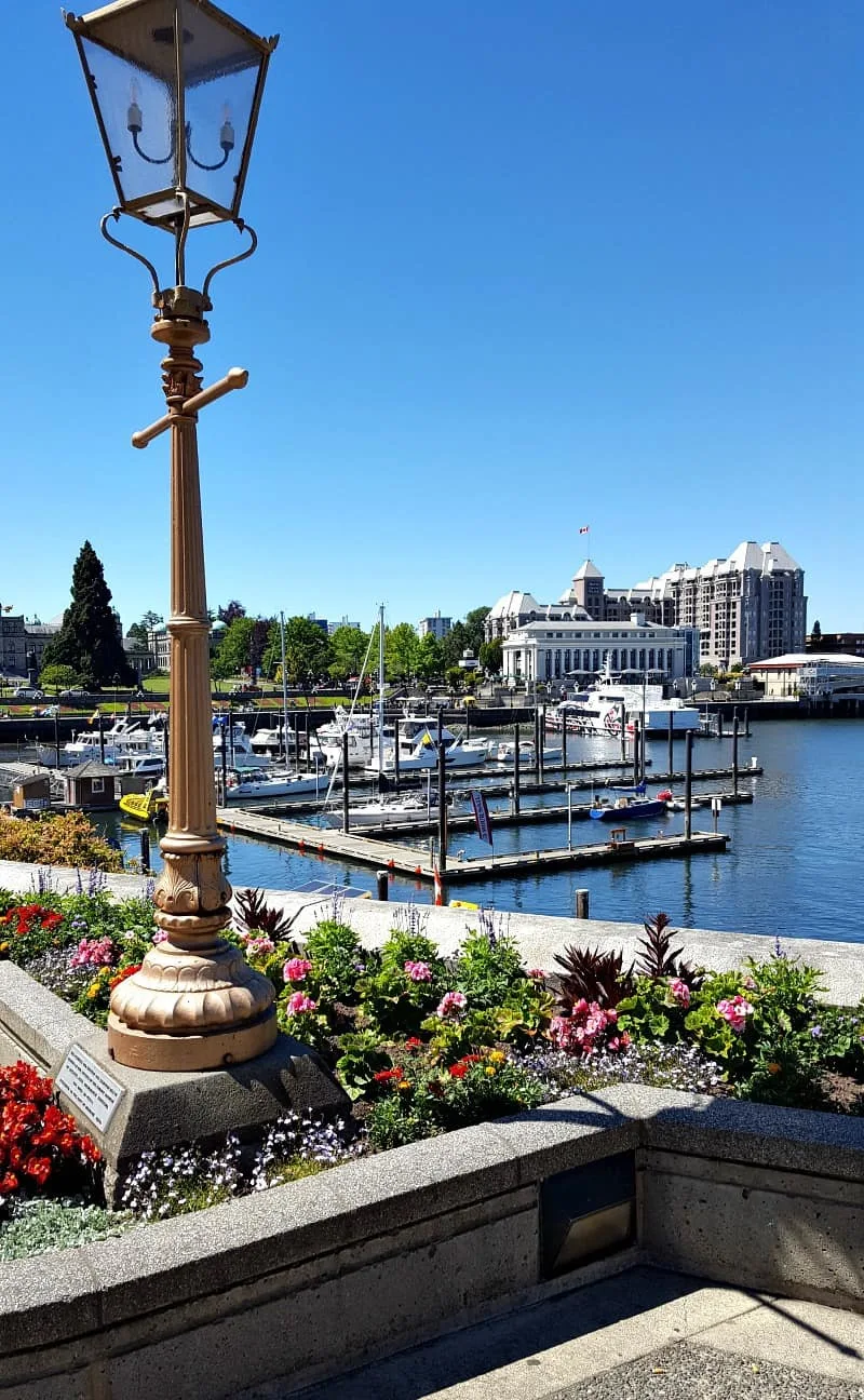 Downtown marina in Victoria, BC