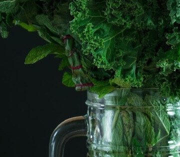 Is vegan diet healthy?