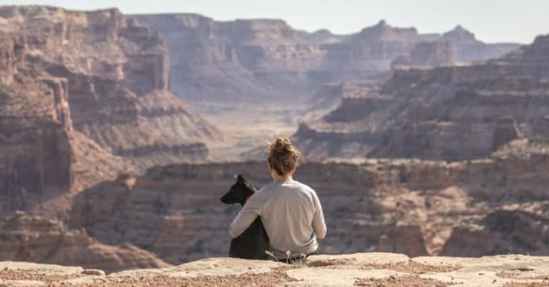 5 mistakes people make when first going vegan, plus tips for how to avoid them