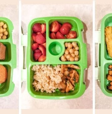 20 vegan school lunch boxes