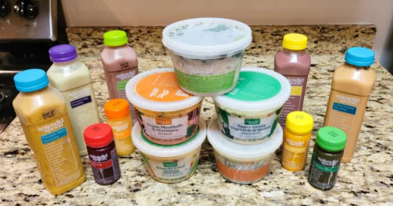 Splendid Spoon review | Vegan Runner Eats