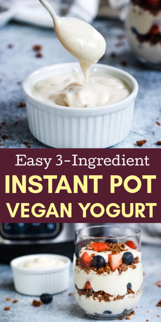 Easy 3 ingredient Instant Pot vegan yogurt