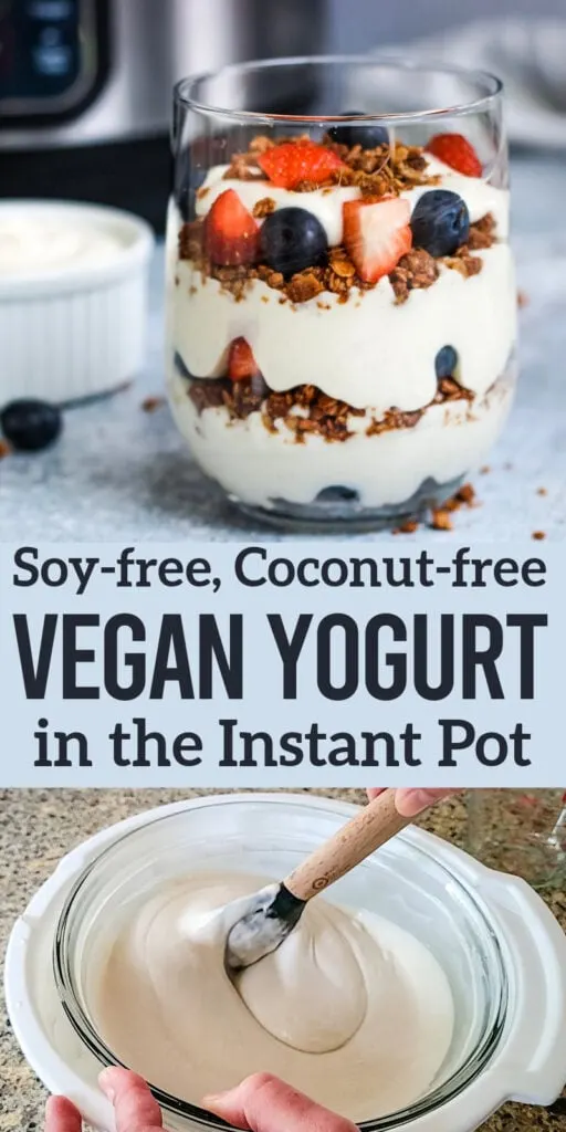 Soy free coconut free vegan yogurt Instant Pot