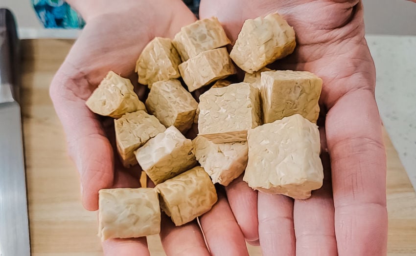 Tempeh cubes in hands
