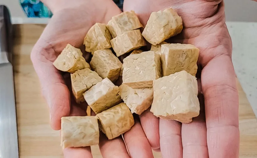 Tempeh cubes in hands